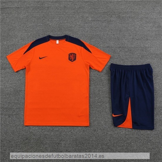 Nuevo Entrenamiento Conjunto Completo Holanda 2024 Naranja Azul Baratas